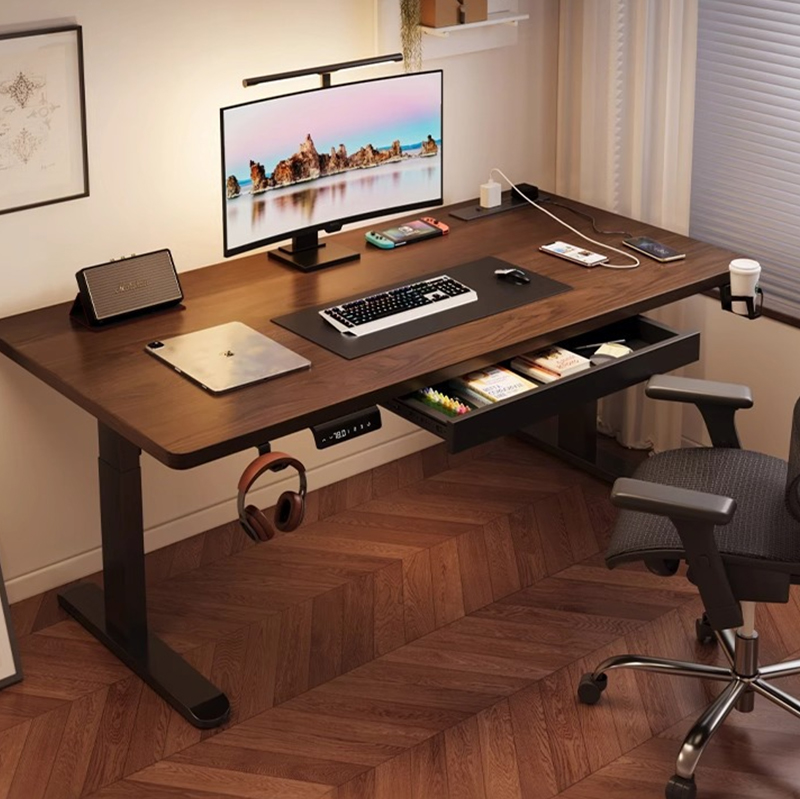 Modern Iron Dual Motor Electri - Setup Desk Monitor review and price